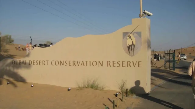 Dubai-Desert-Conservation-Reserve-1