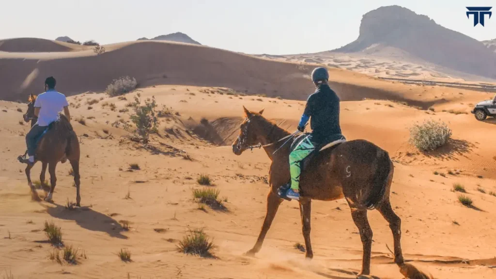 Horse Back Riding