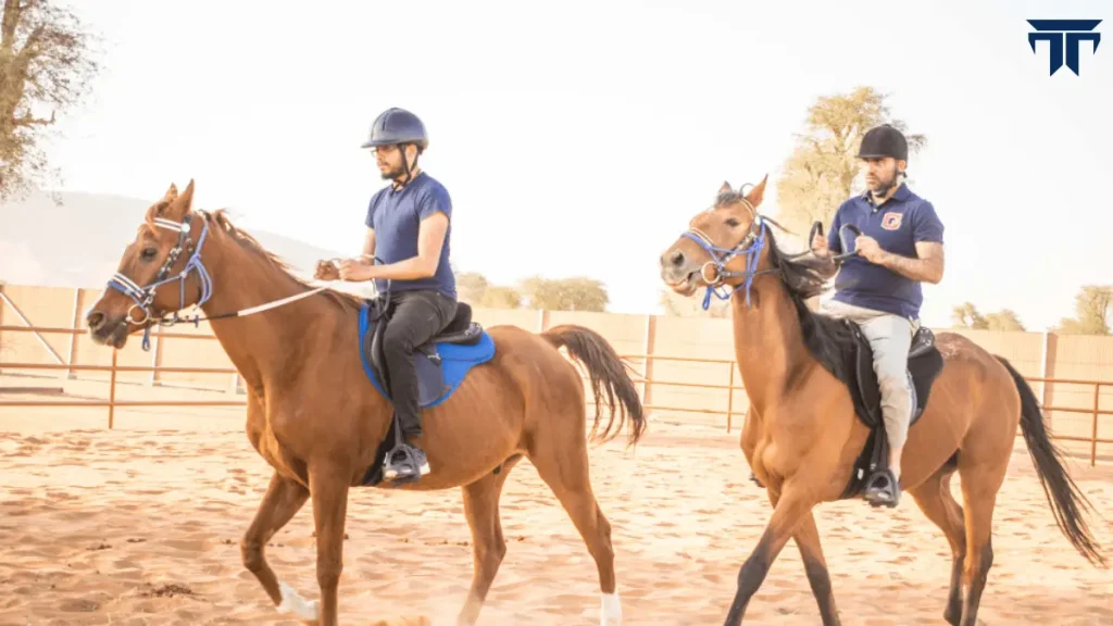 Horse Riding At Mleiha Arena