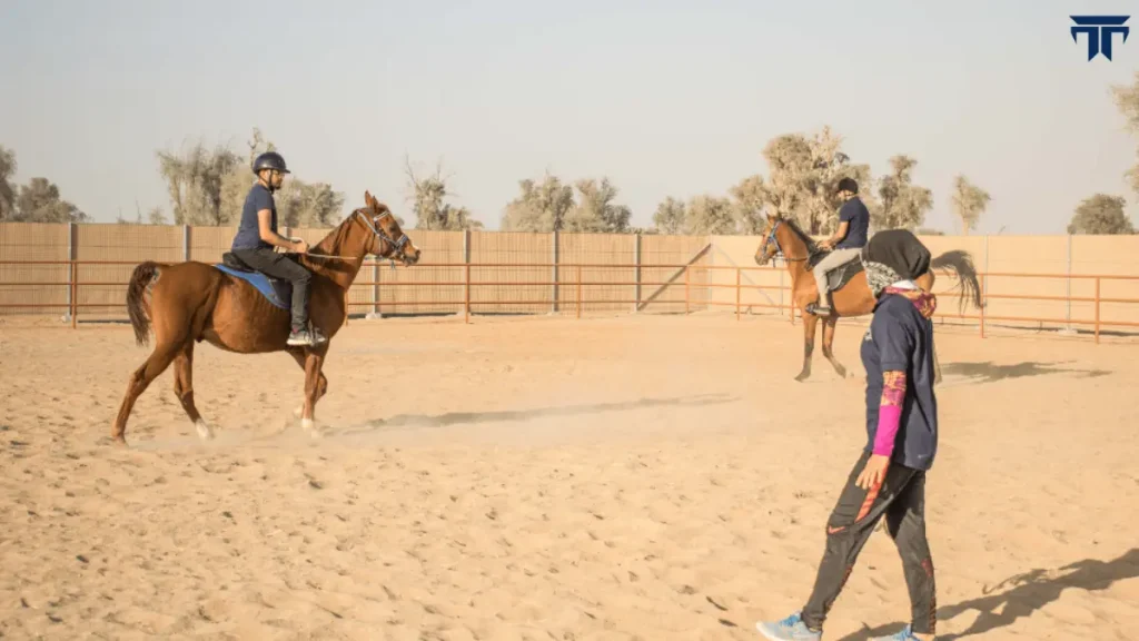 Horse Riding Training Course