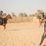 Horse Riding Training Course