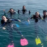 Discover scuba dive at fujairah