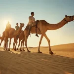 Camel Trekking Experience