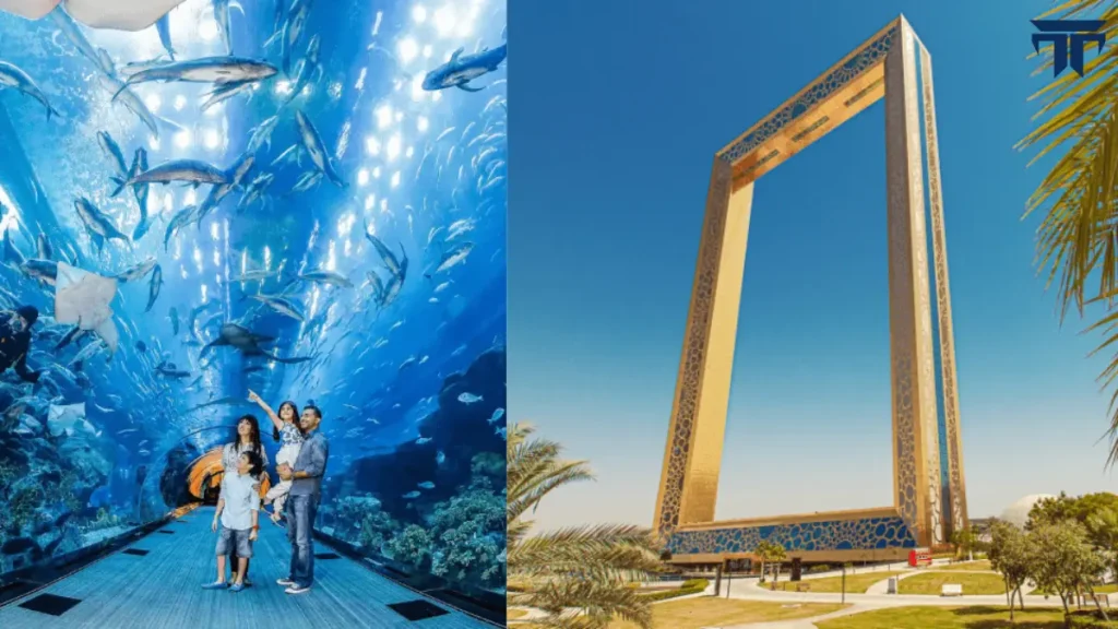 Combo Dubai Frame Dubai Aquarium