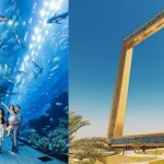 Combo Dubai Frame Dubai Aquarium