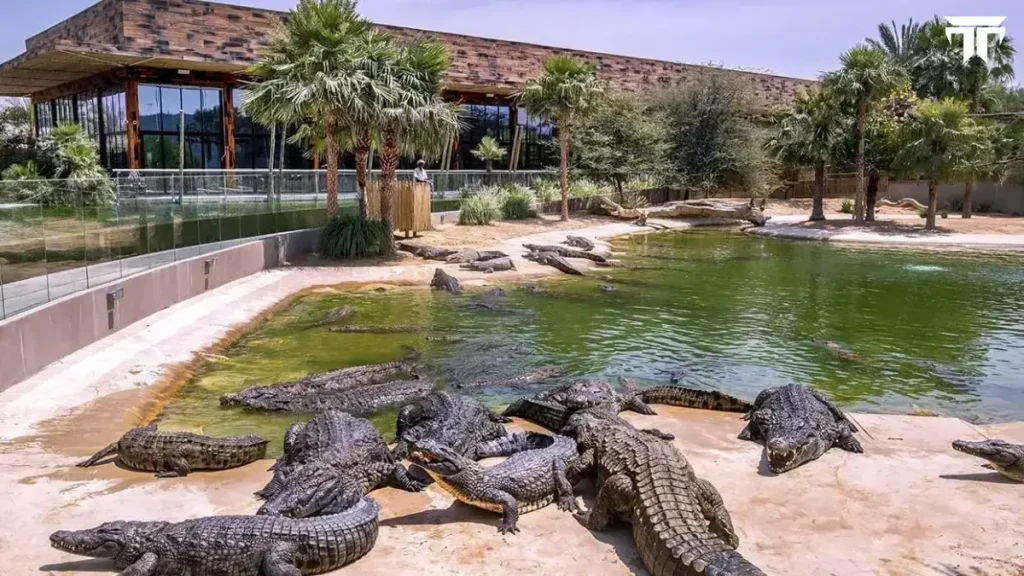 Dubai Crocodile Park