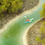 Guided Kayak Tour Mangroves