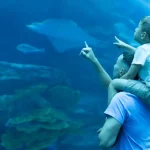 Dubai Aquarium & Underwater Zoo